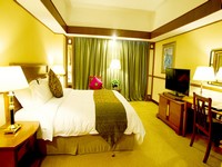 �O�����h�j���[���[���h�z�e���q��