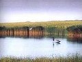 ホータン観光スポット魚湖
