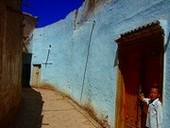 �J�V���K���V��̎q��