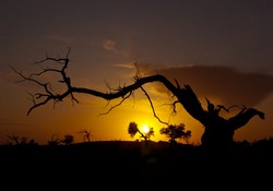 �J���z�g�̉�����