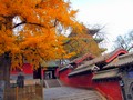 少林寺は拳法で有名