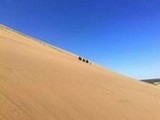 �V���N���[�h�̃C���[�W�ɂ҂�������R���p�k