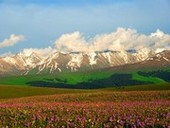 夏のバリクン草原