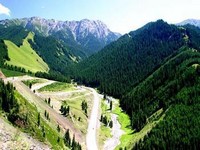 �C�[�j�����s�A��\��܂̉ʎq�a