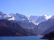 �E�����`�c�A�[�A�V�r���V�R�R����]��