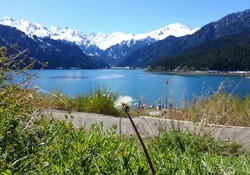 �E�����`�I�v�V���i���c�A�[�A�����̃X�C�X�ƌĂ΂��V�r