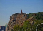 �E�����`�s�X����]�ł���g�R����
