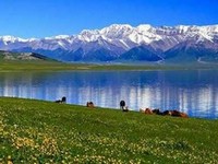 �C�[�j���c�A�[�A�T�C�����E�m�[��